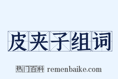 皮夹子组词是什么意思的图片